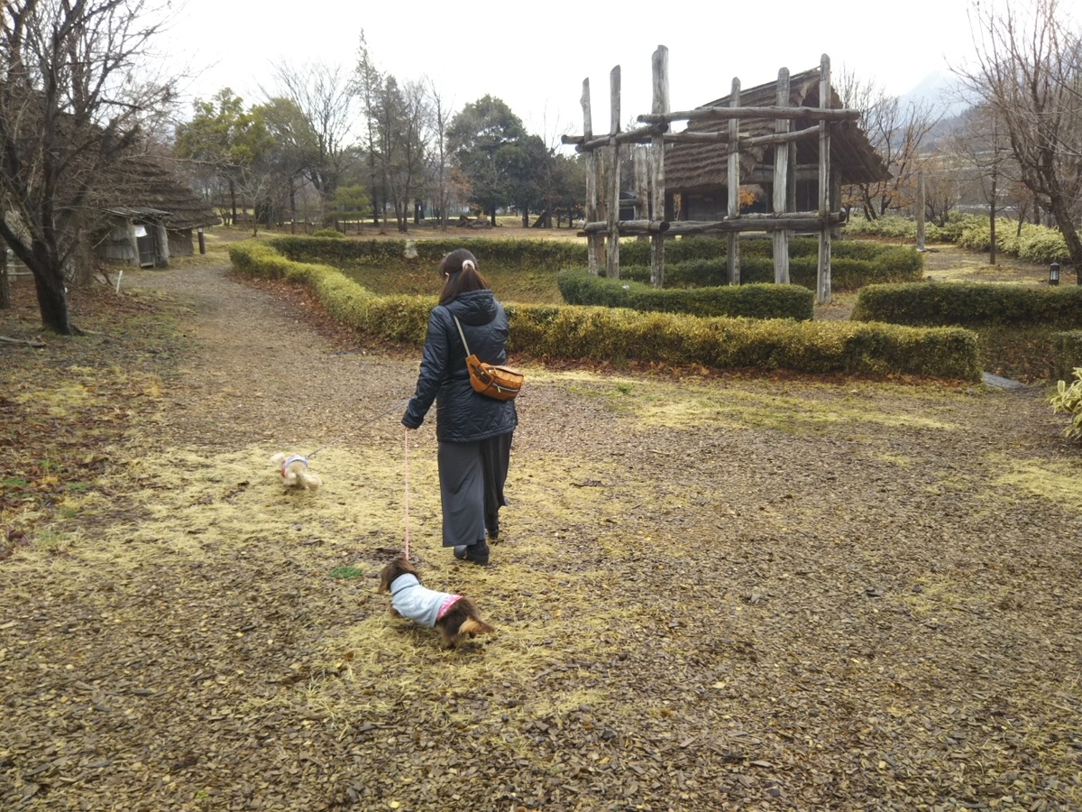 f:id:hirotaka72:20190331085712j:plain