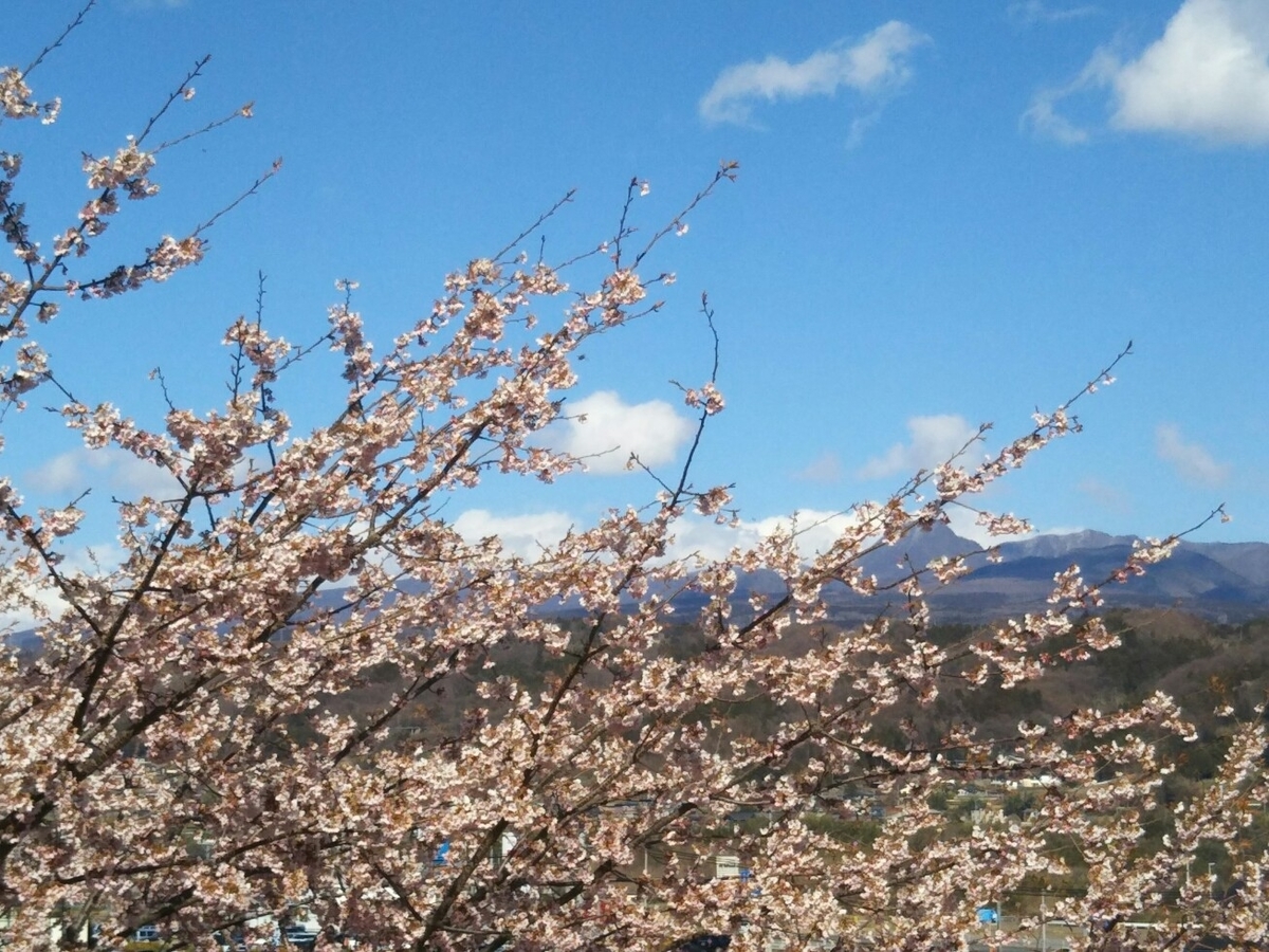 f:id:hirotaka72:20190331144403j:plain