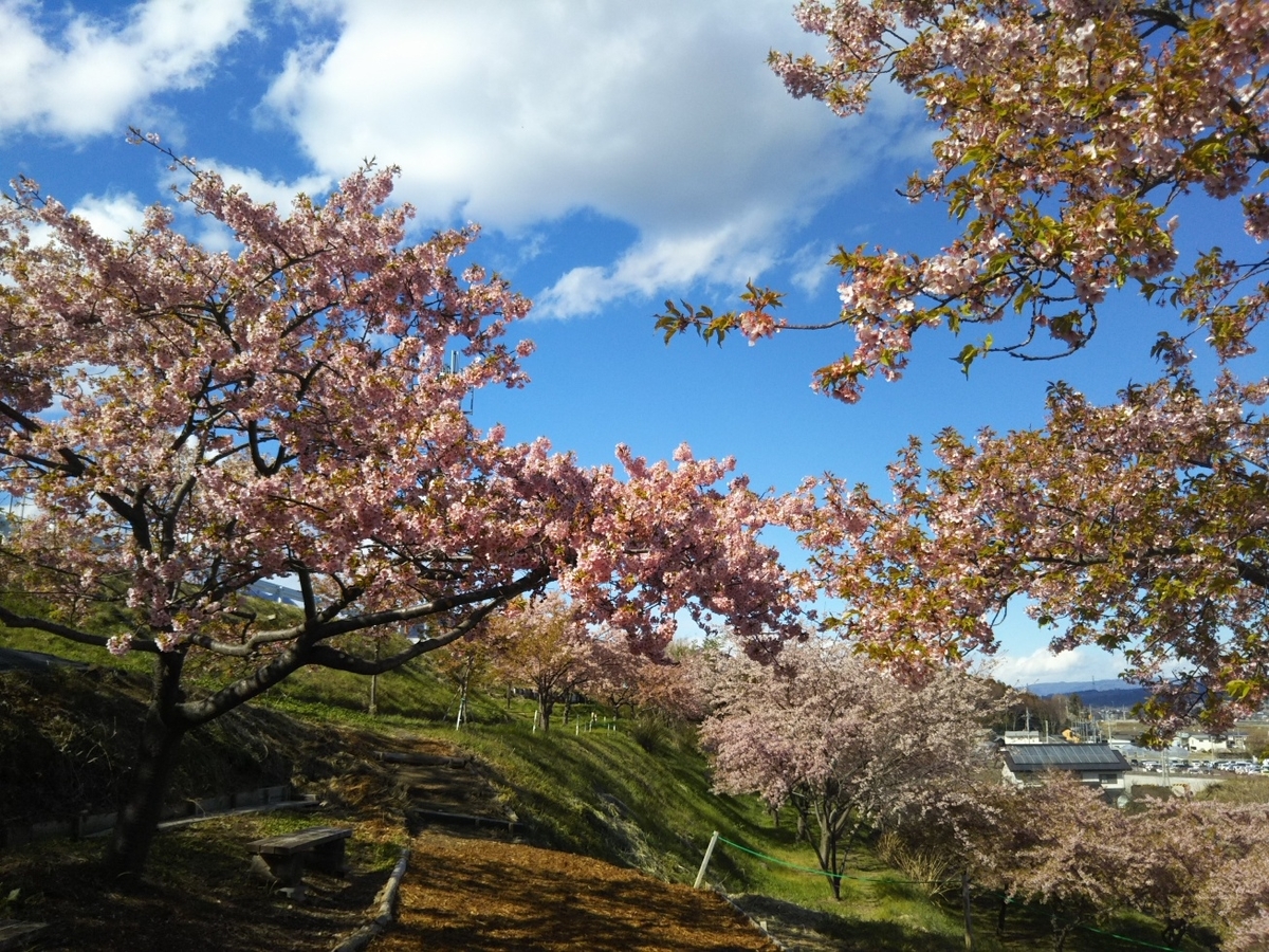 f:id:hirotaka72:20190331144751j:plain