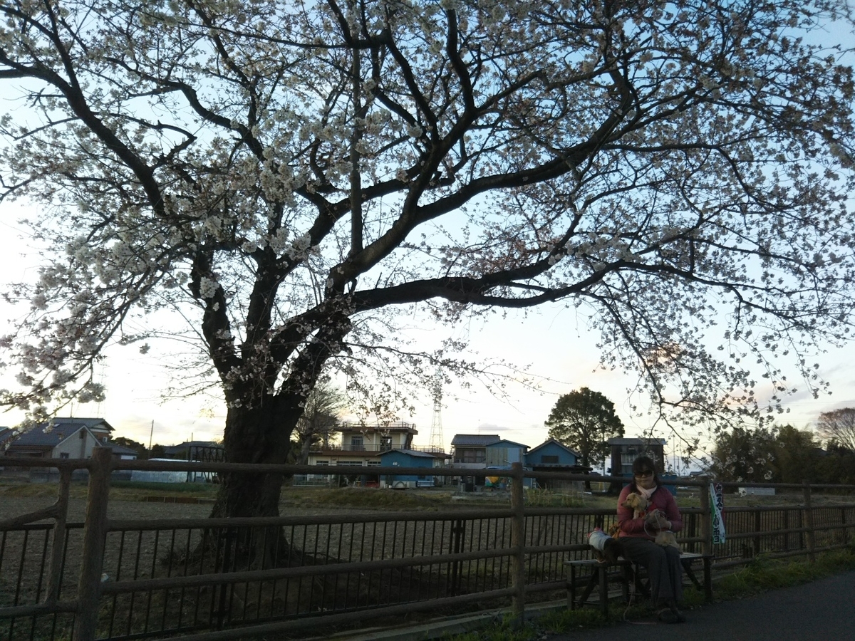 f:id:hirotaka72:20190331175355j:plain