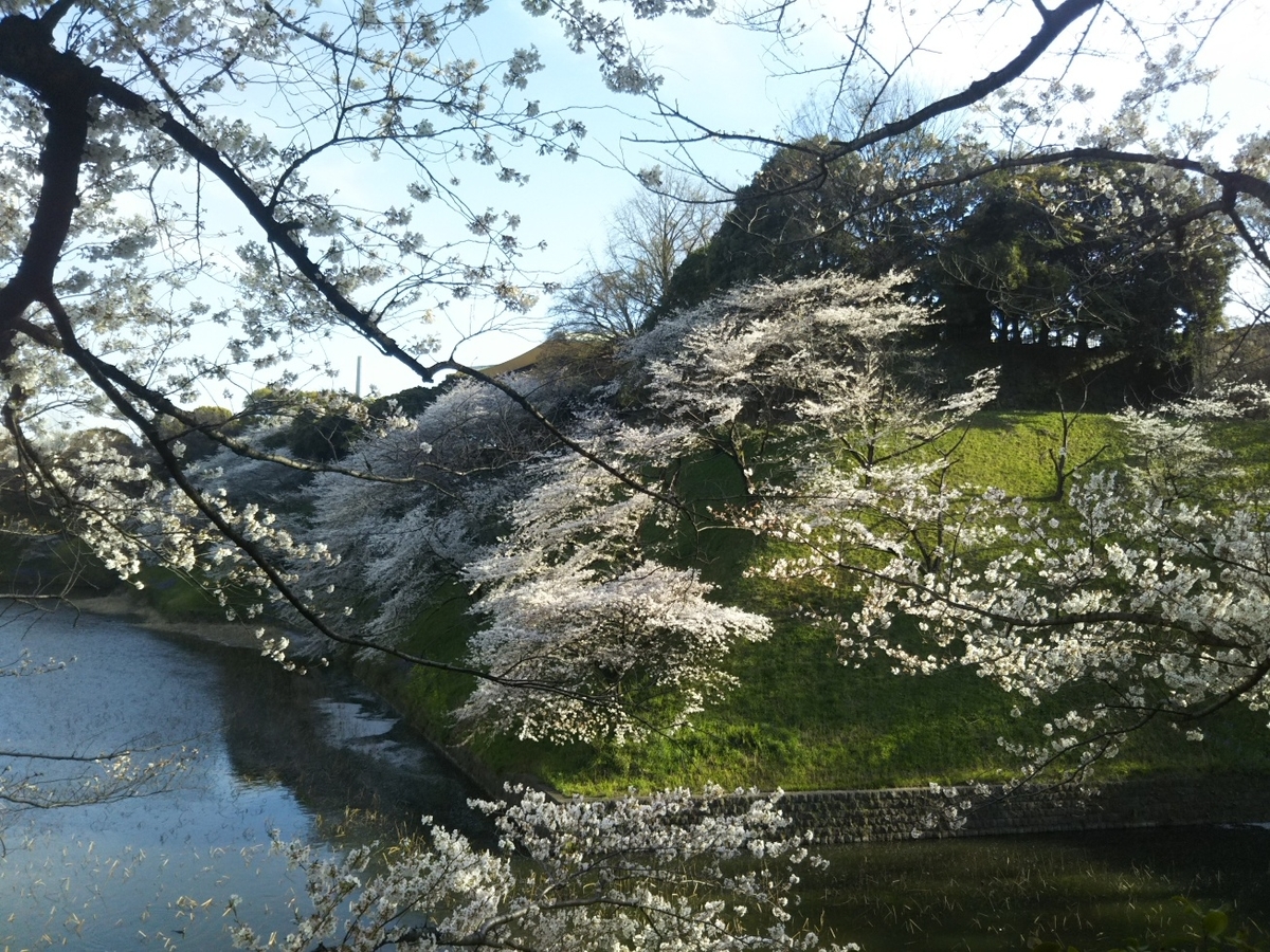 f:id:hirotaka72:20190405160708j:plain