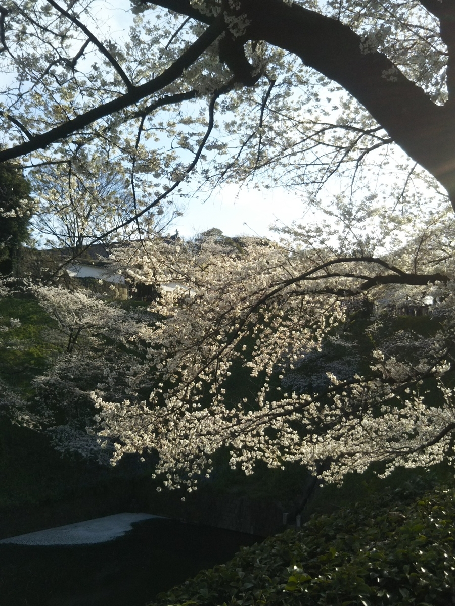f:id:hirotaka72:20190405160743j:plain