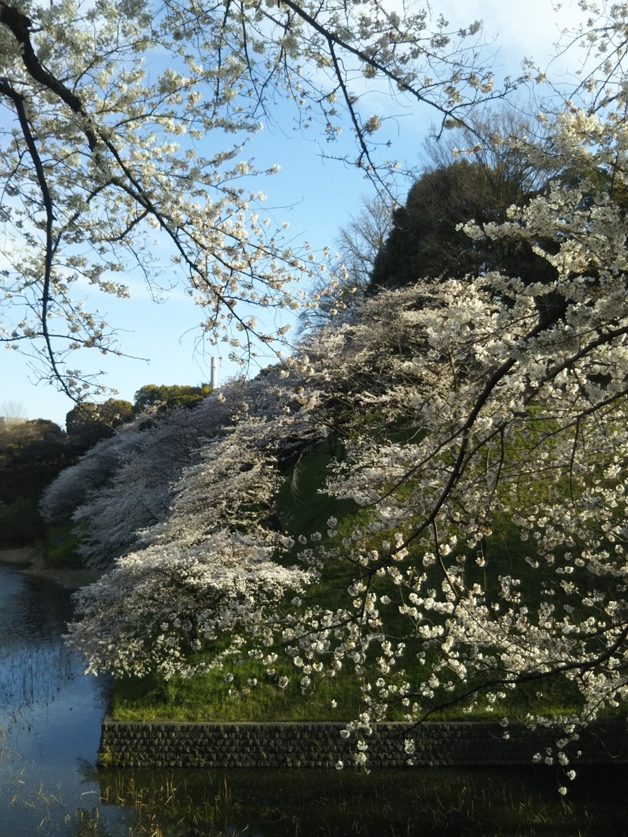 f:id:hirotaka72:20190405160800j:plain