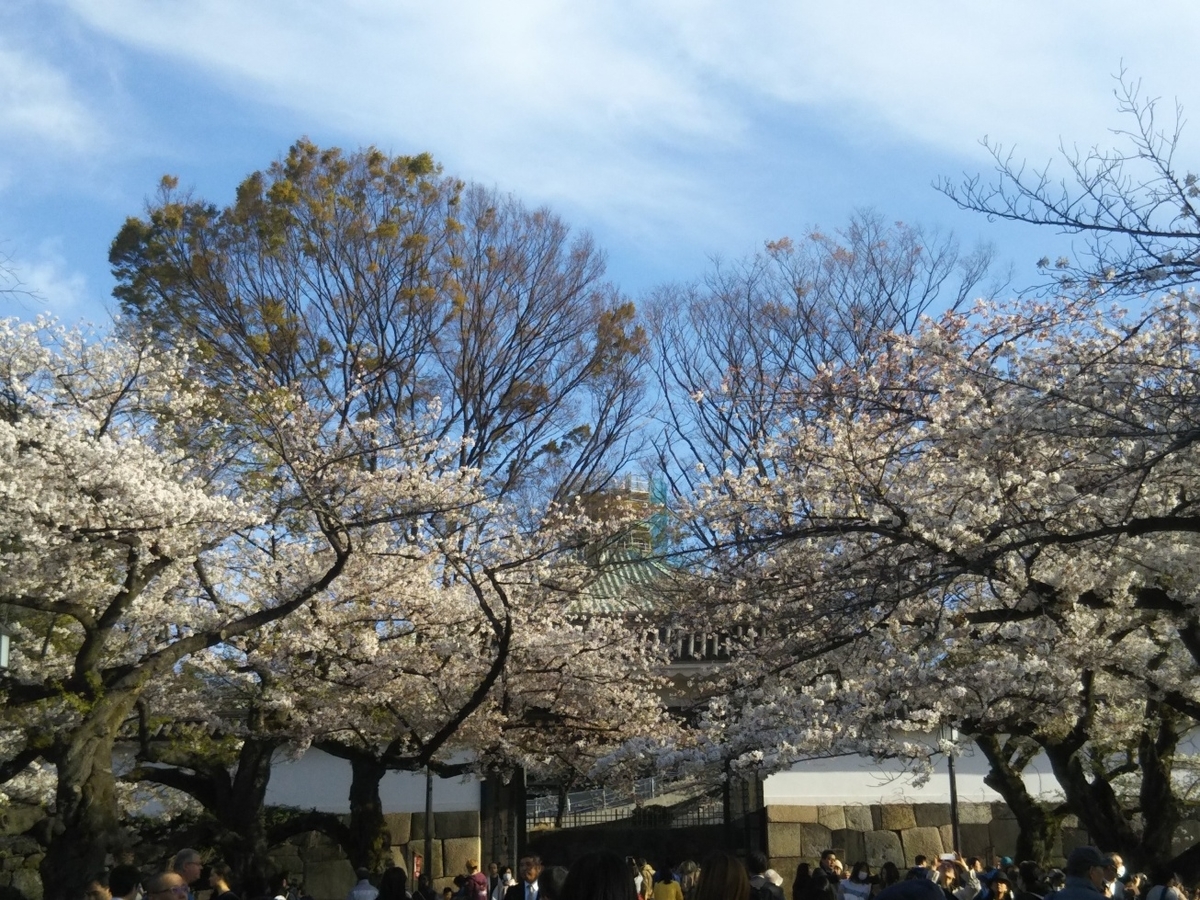 f:id:hirotaka72:20190405160923j:plain