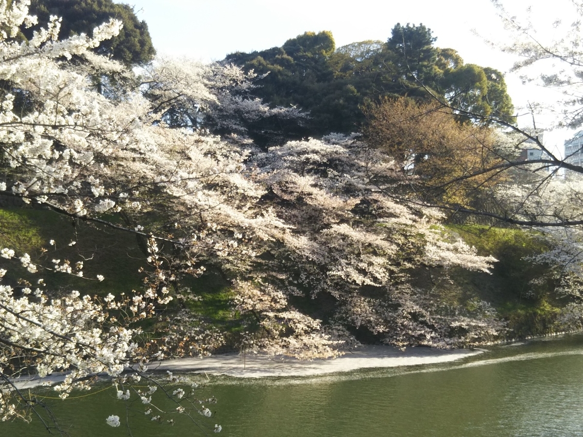 f:id:hirotaka72:20190405161000j:plain