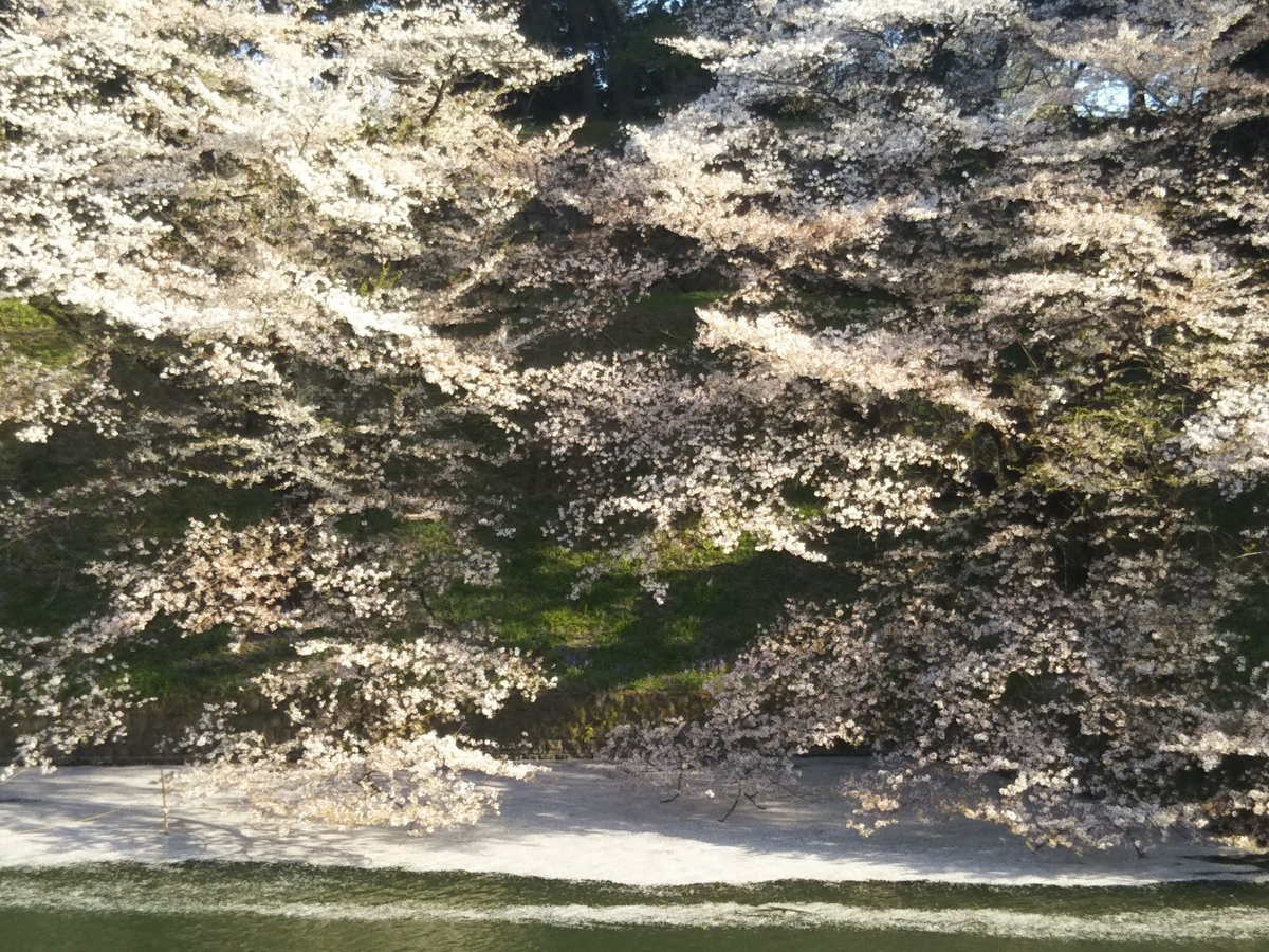 f:id:hirotaka72:20190405161133j:plain