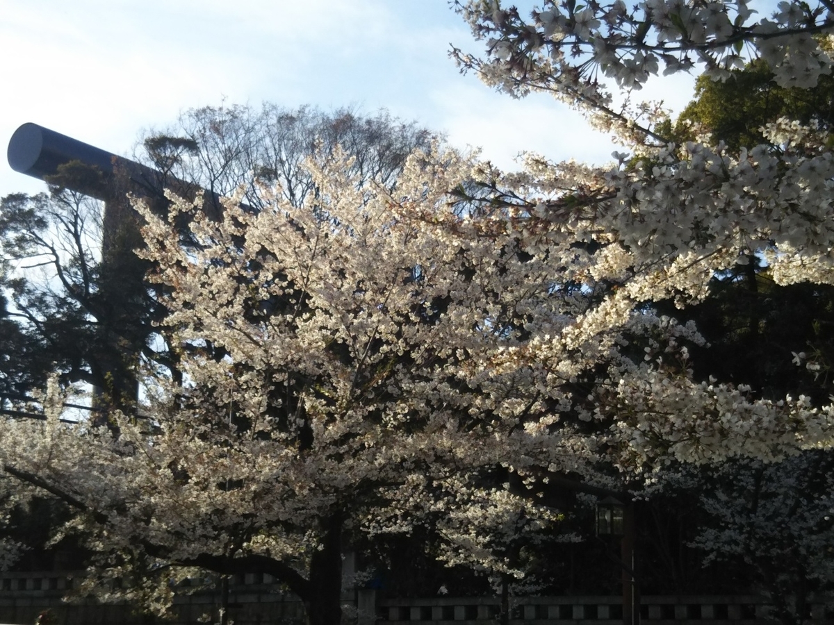 f:id:hirotaka72:20190405161207j:plain