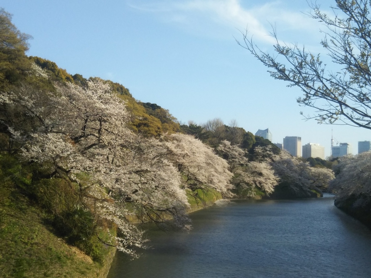 f:id:hirotaka72:20190405161347j:plain