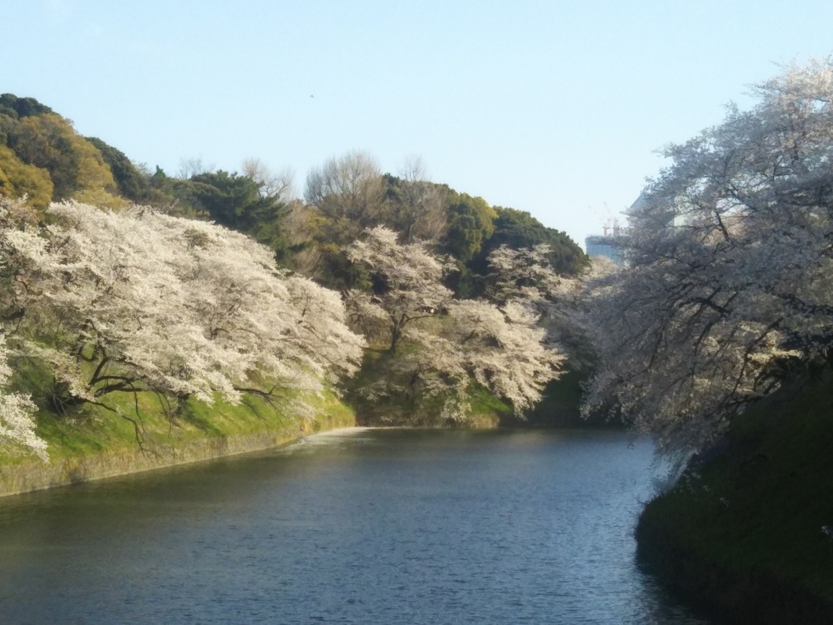 f:id:hirotaka72:20190405161434j:plain