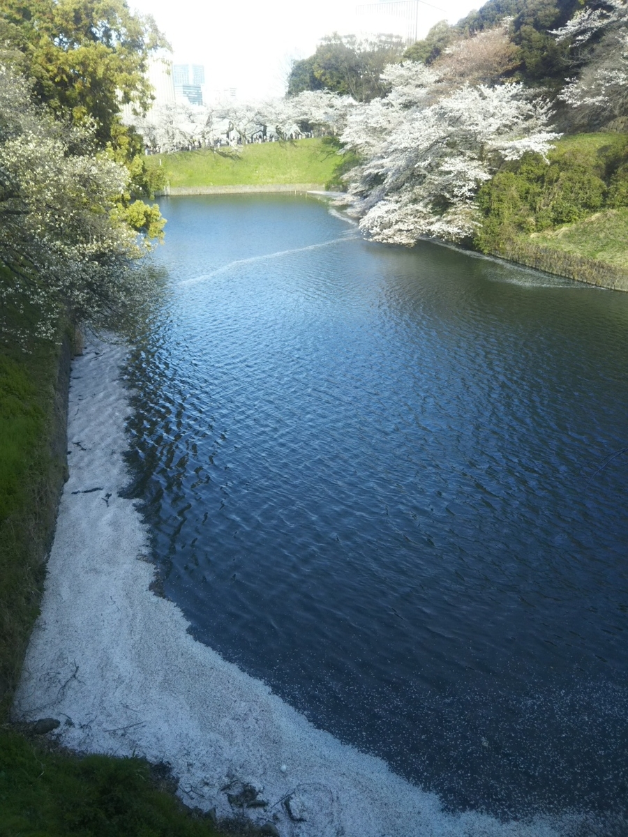 f:id:hirotaka72:20190405161610j:plain