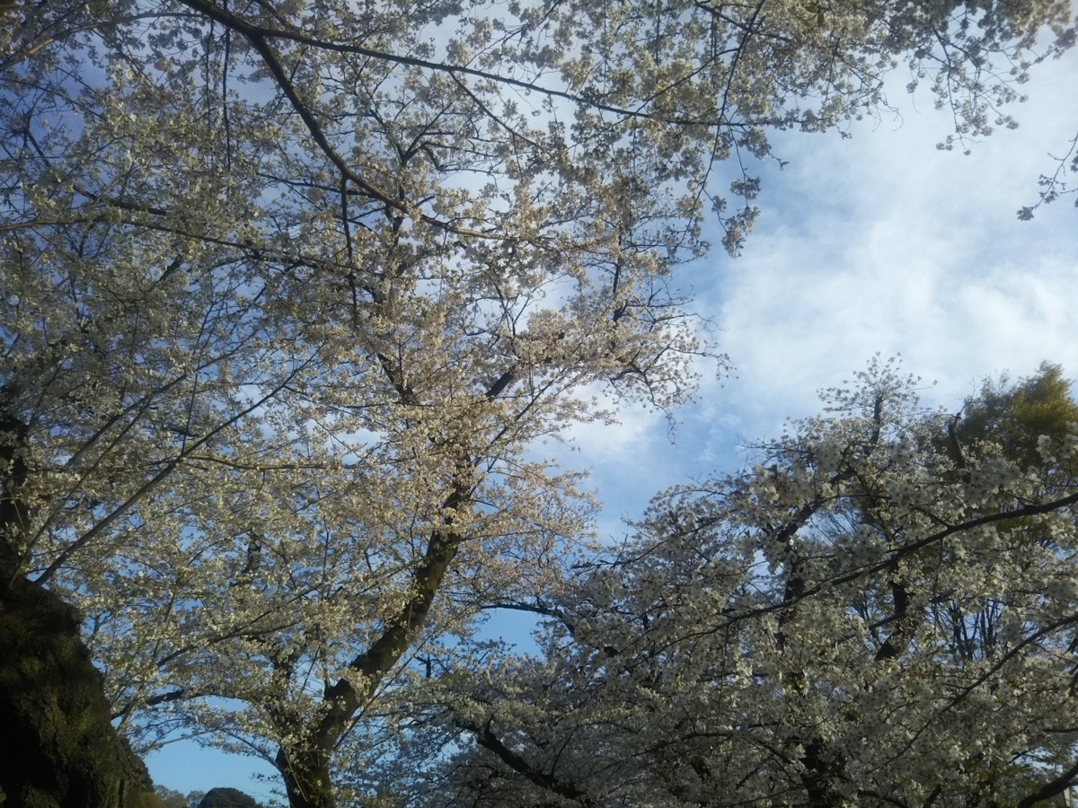f:id:hirotaka72:20190405161814j:plain