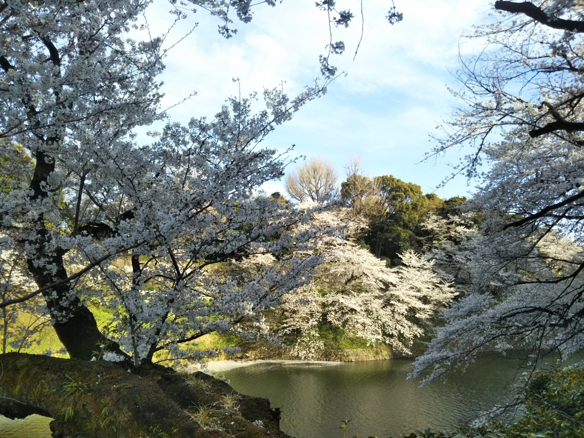 f:id:hirotaka72:20190405162143j:plain