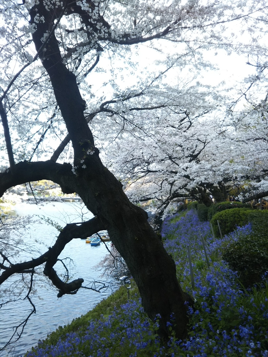 f:id:hirotaka72:20190405162507j:plain