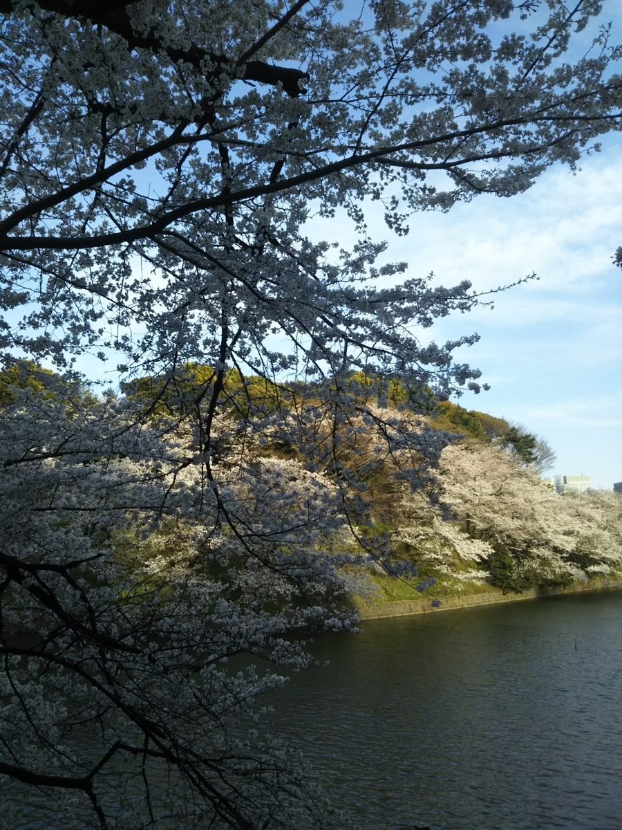 f:id:hirotaka72:20190405162525j:plain