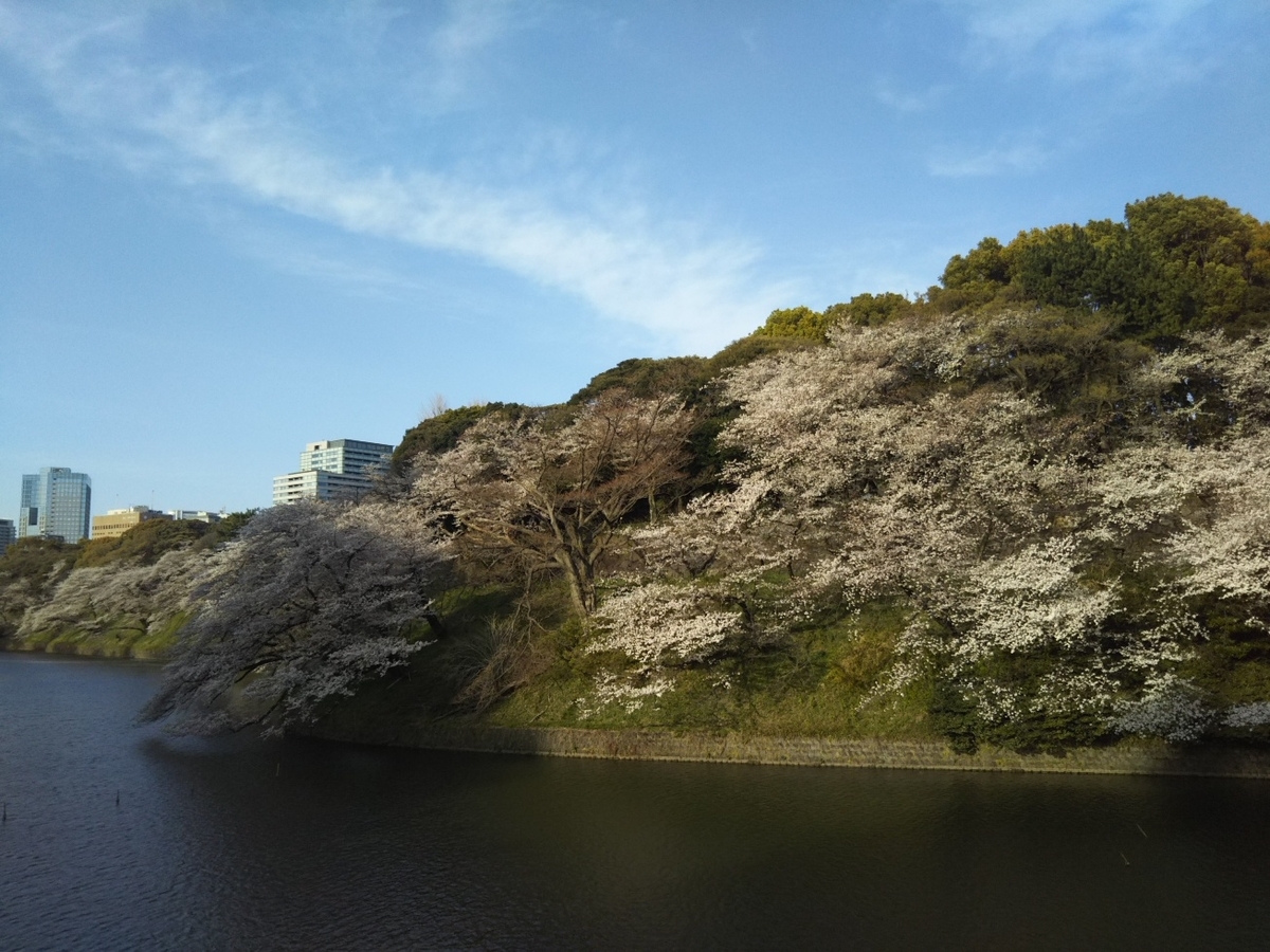 f:id:hirotaka72:20190405162810j:plain