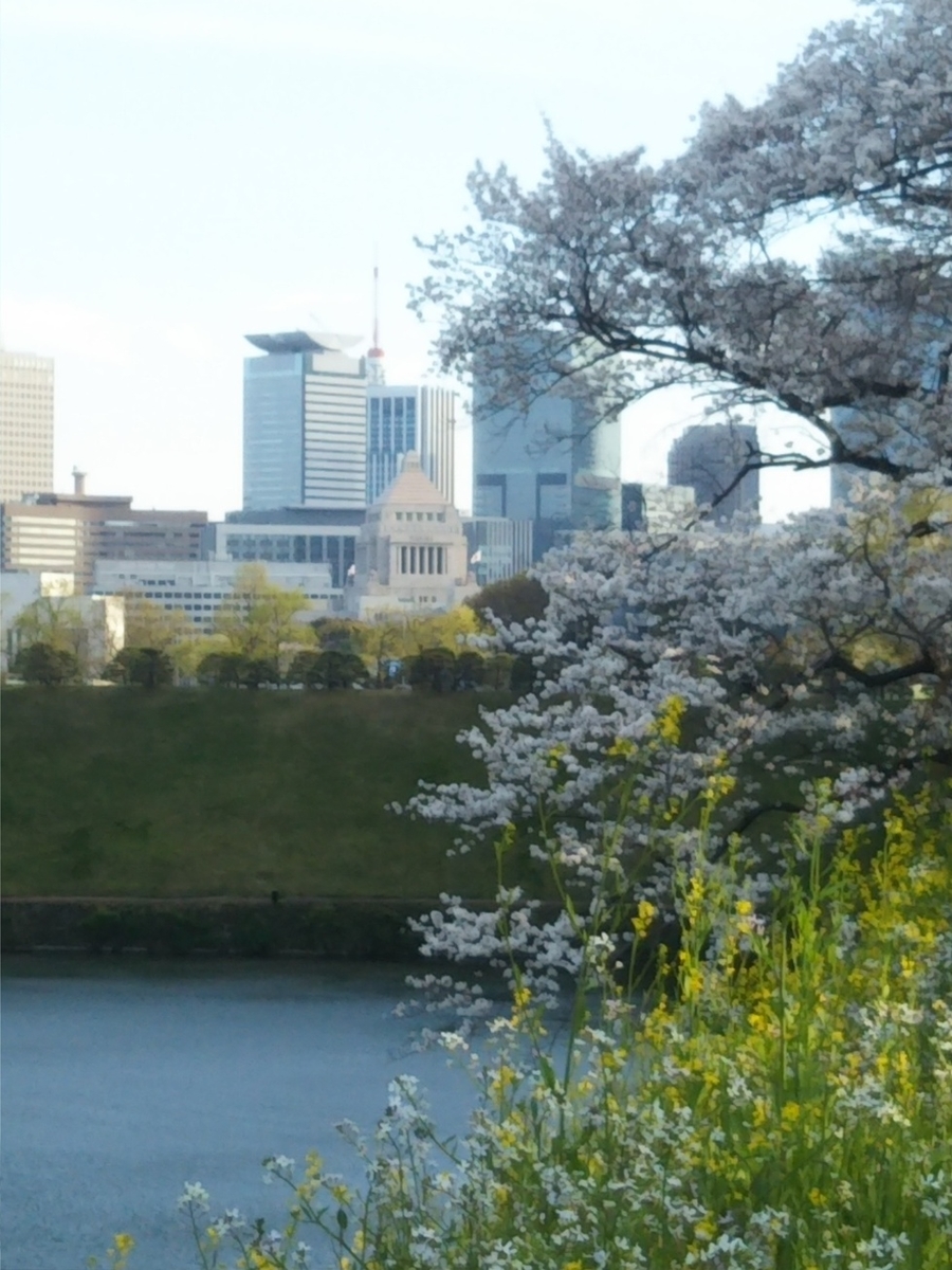 f:id:hirotaka72:20190405164241j:plain