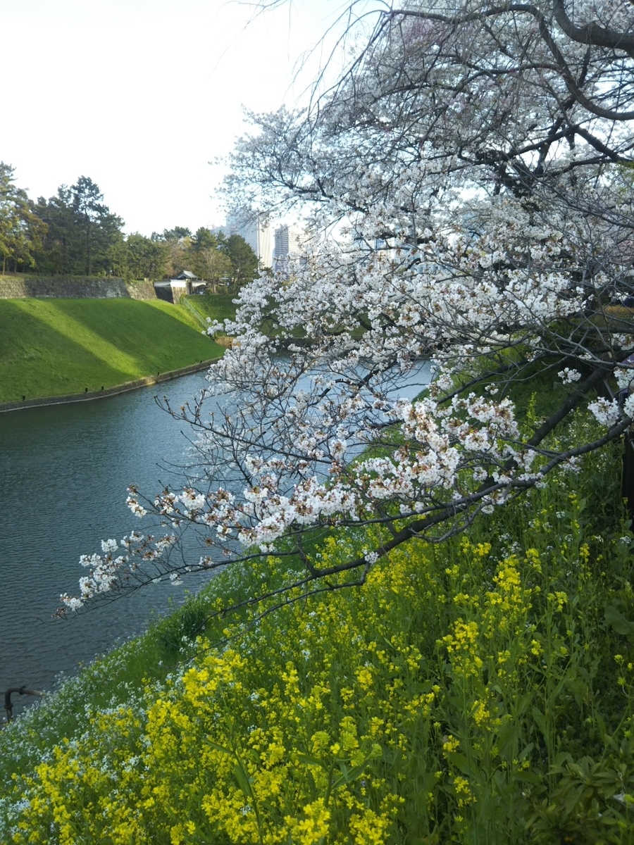 f:id:hirotaka72:20190405164320j:plain