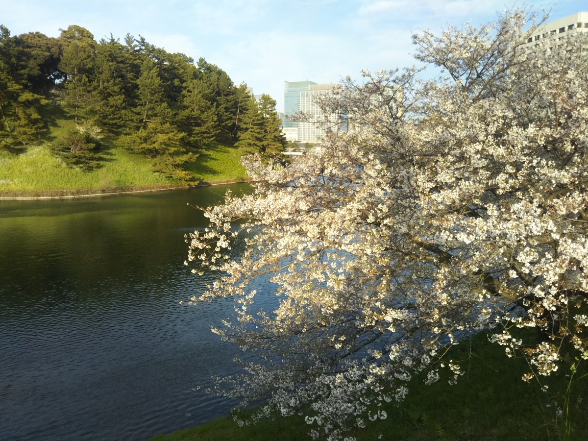 f:id:hirotaka72:20190405165740j:plain