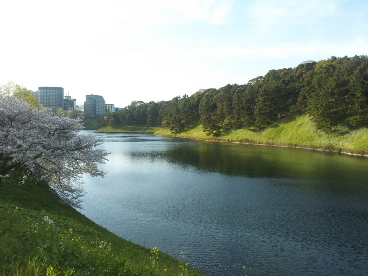 f:id:hirotaka72:20190405165922j:plain