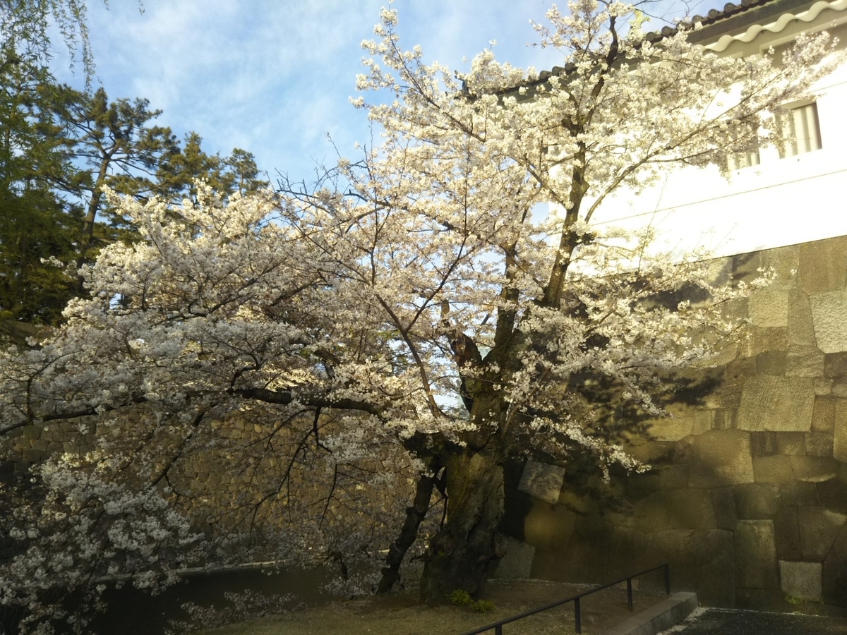 f:id:hirotaka72:20190405170512j:plain