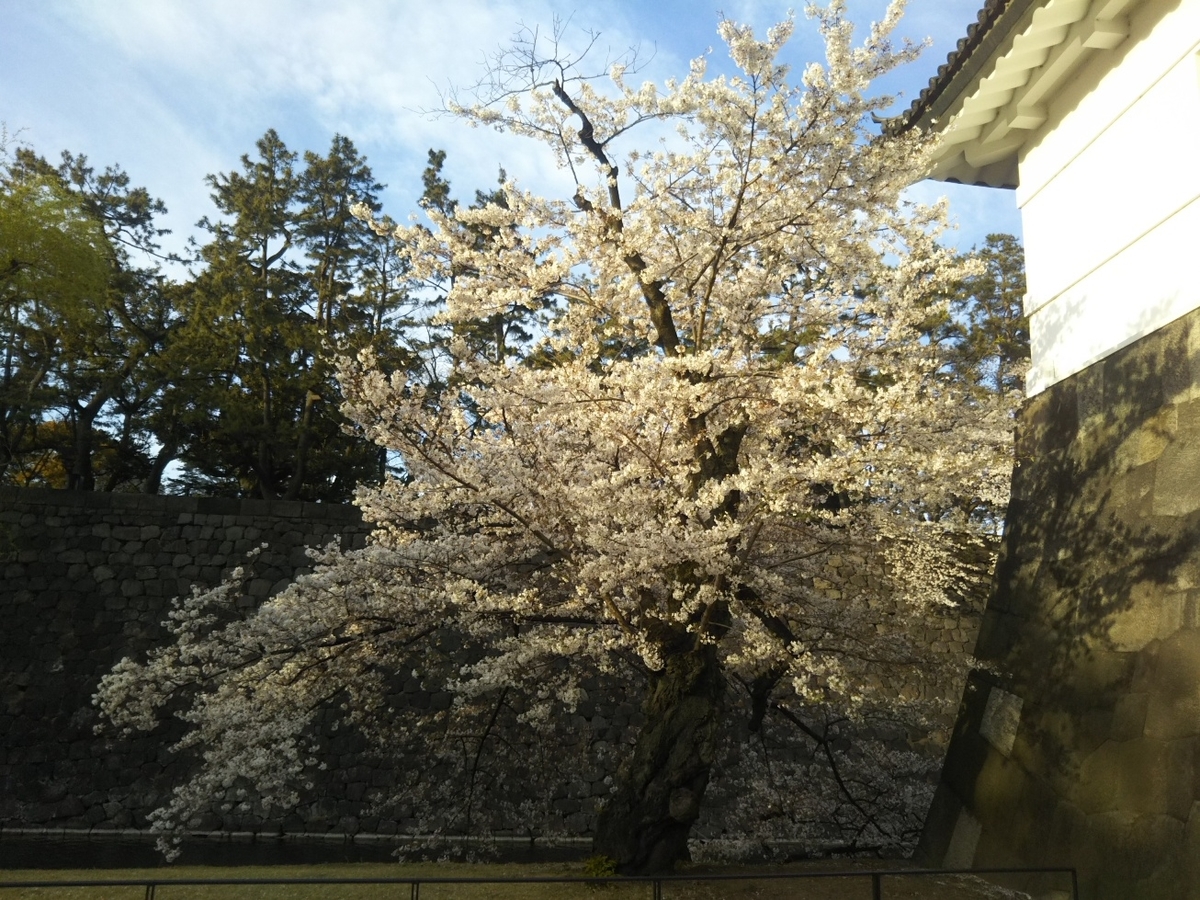 f:id:hirotaka72:20190405170601j:plain