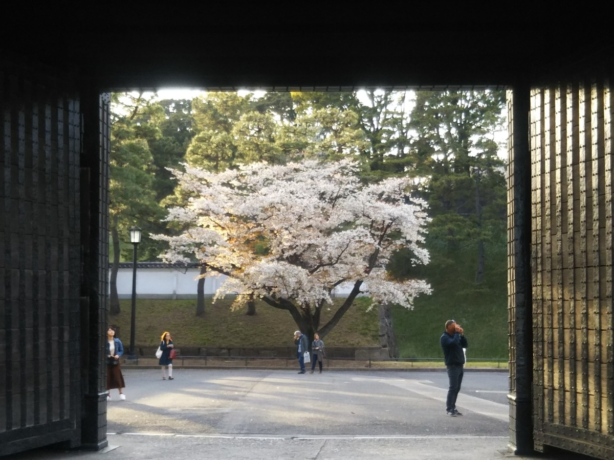 f:id:hirotaka72:20190405170721j:plain