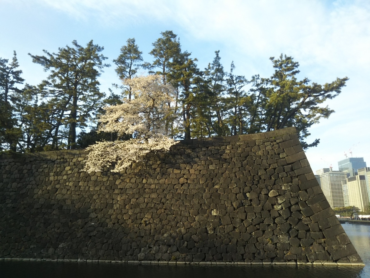 f:id:hirotaka72:20190405170758j:plain