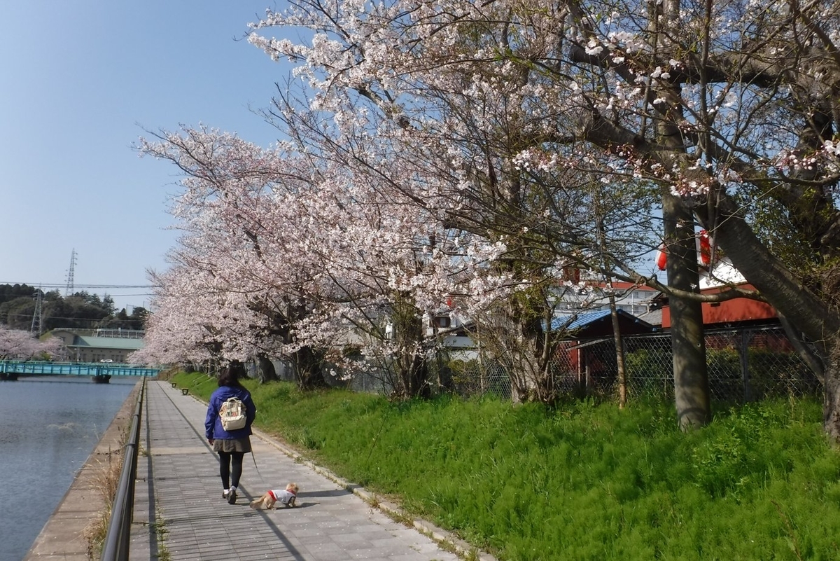 f:id:hirotaka72:20190406080427j:plain f:id:hirotaka72:20190406080427j:plain