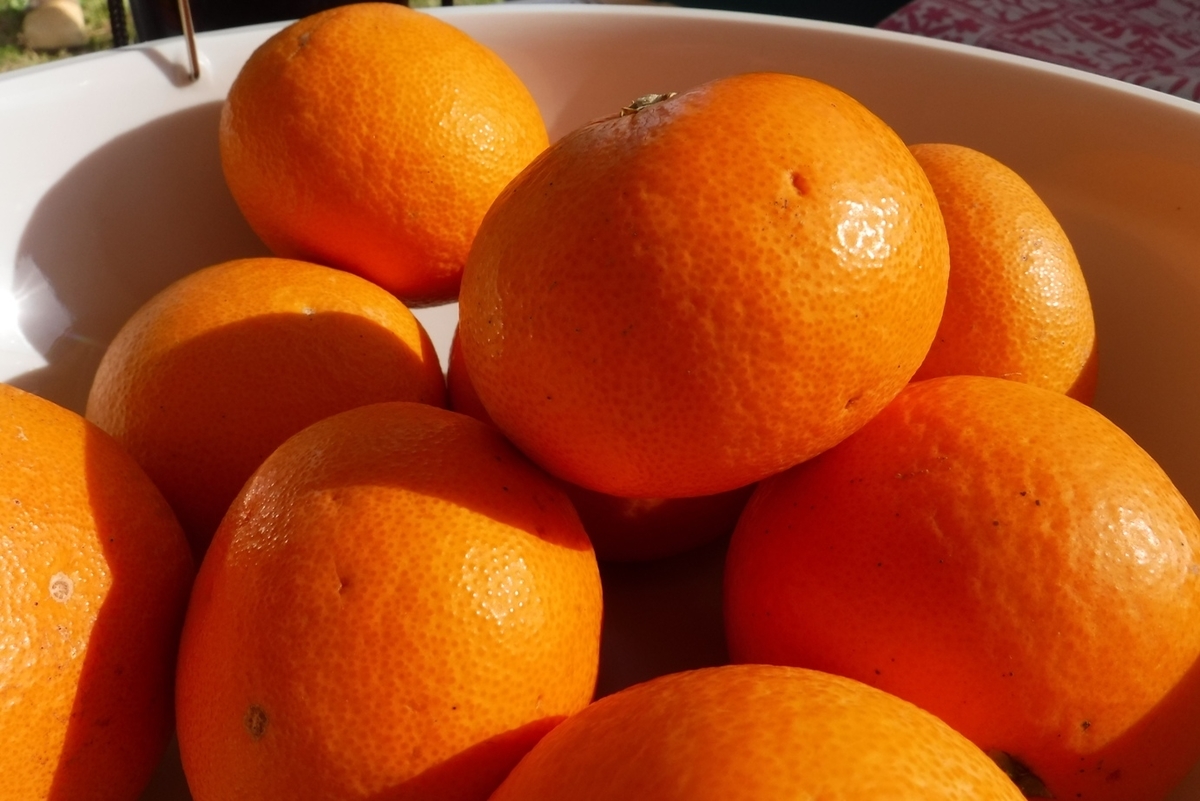 f:id:hirotaka72:20190406151305j:plain f:id:hirotaka72:20190406151305j:plain