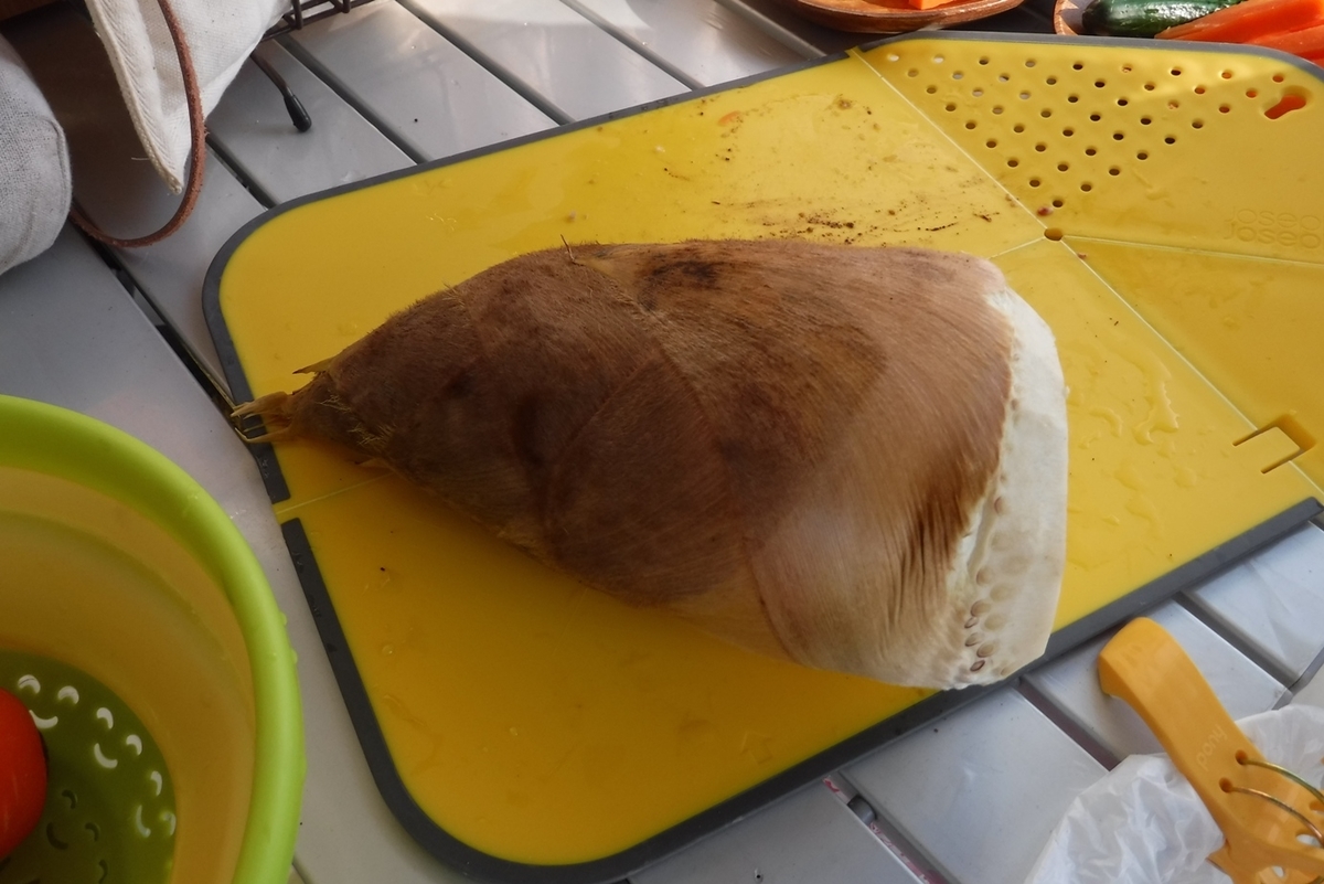 f:id:hirotaka72:20190406153420j:plain f:id:hirotaka72:20190406153420j:plain