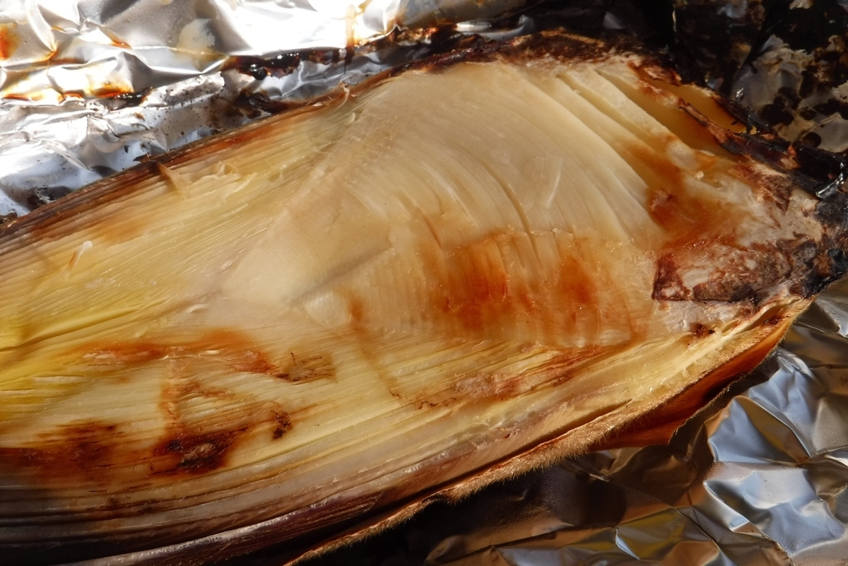 f:id:hirotaka72:20190406160532j:plain