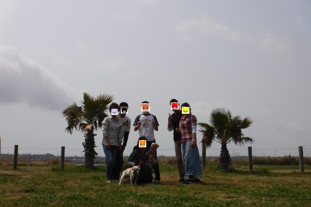 f:id:hirotaka72:20190407101604j:plain