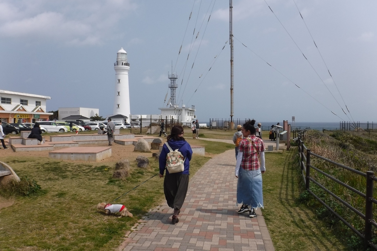 f:id:hirotaka72:20190407110431j:plain