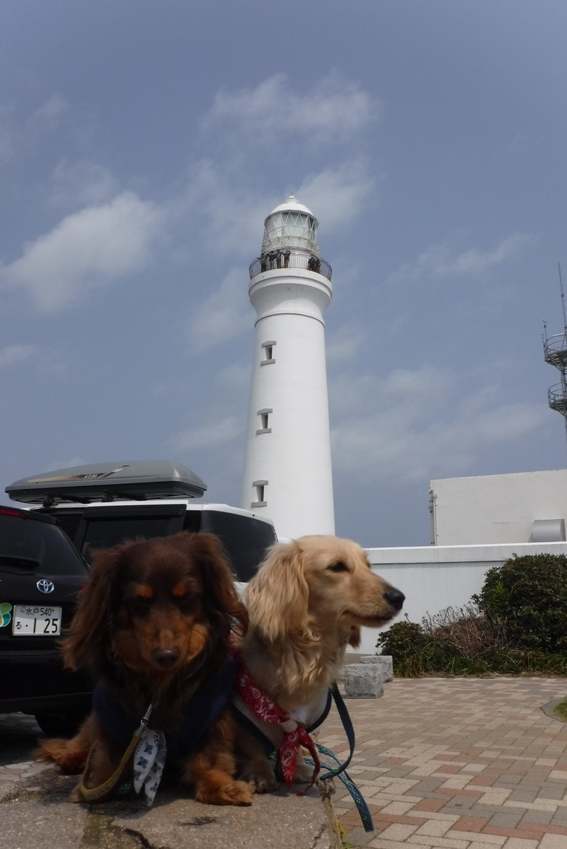 f:id:hirotaka72:20190407114709j:plain f:id:hirotaka72:20190407114709j:plain