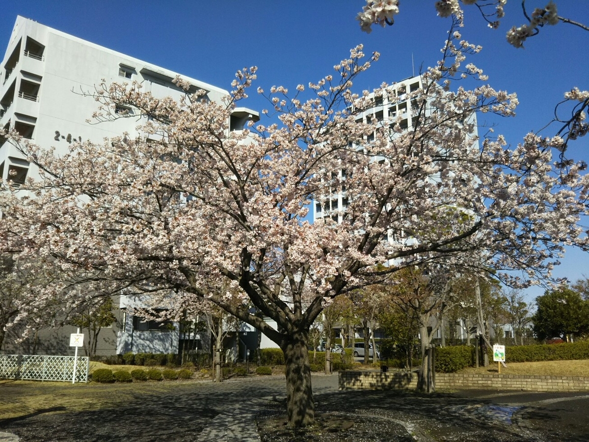 f:id:hirotaka72:20190409083024j:plain