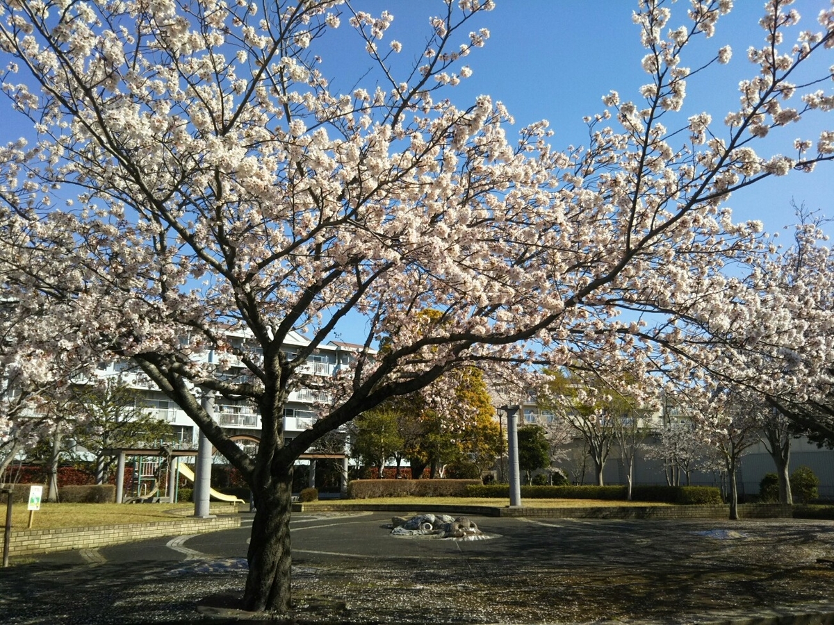 f:id:hirotaka72:20190409083043j:plain