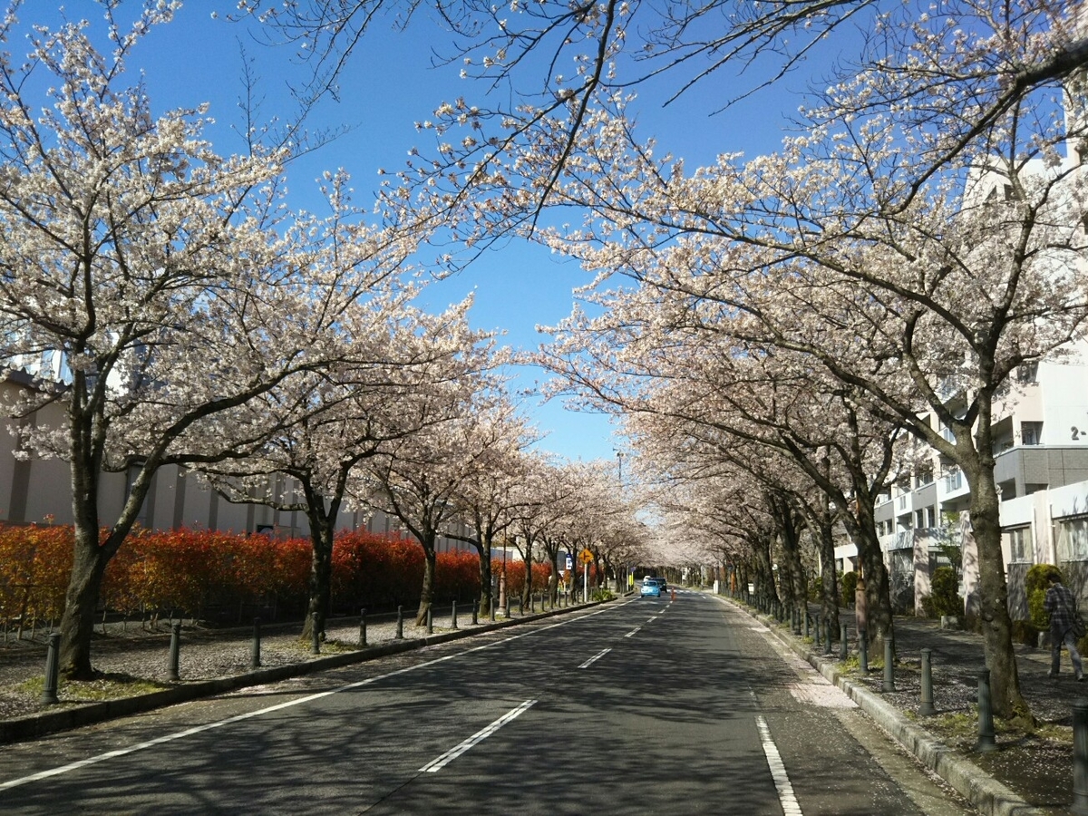f:id:hirotaka72:20190409083135j:plain