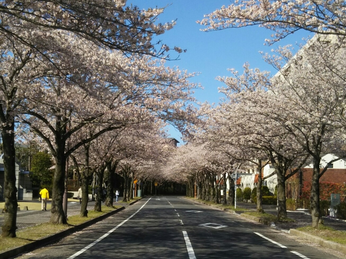 f:id:hirotaka72:20190409083305j:plain