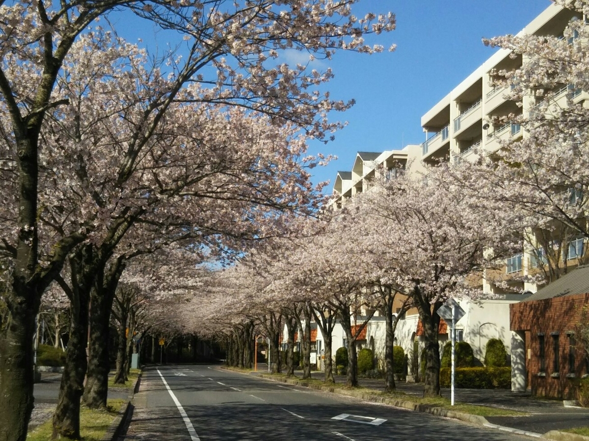 f:id:hirotaka72:20190409083332j:plain
