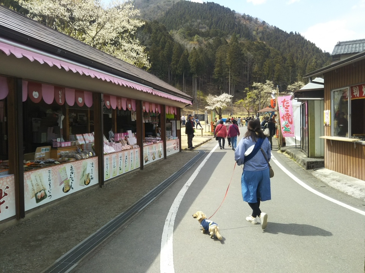f:id:hirotaka72:20190412131400j:plain