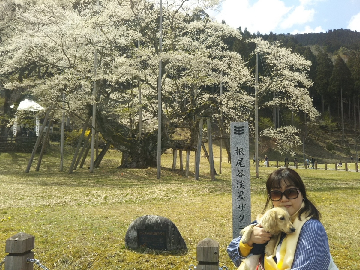 f:id:hirotaka72:20190412131615j:plain