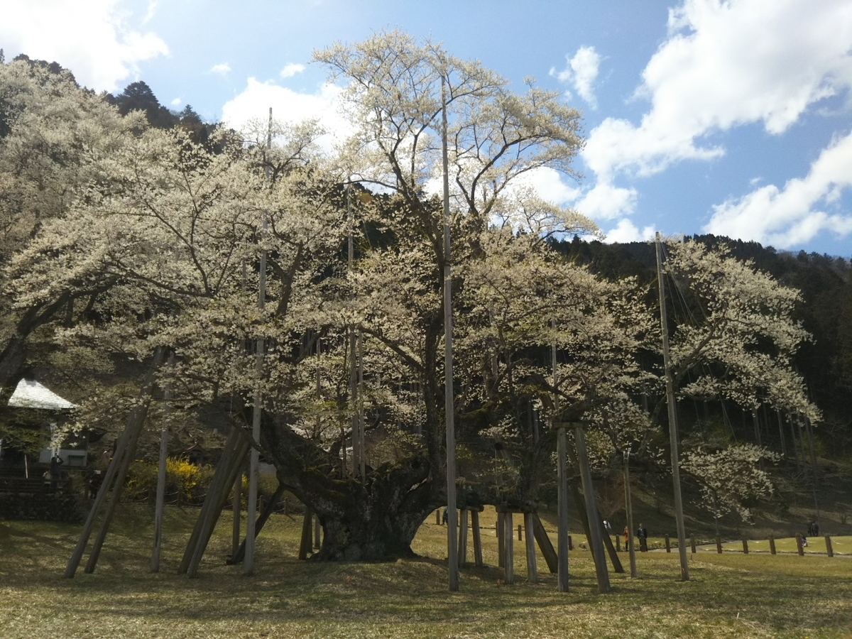 f:id:hirotaka72:20190412131651j:plain