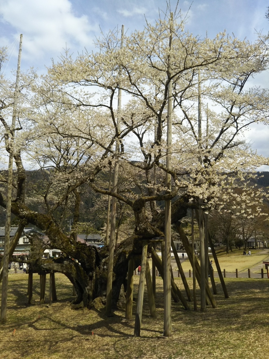 f:id:hirotaka72:20190412132215j:plain