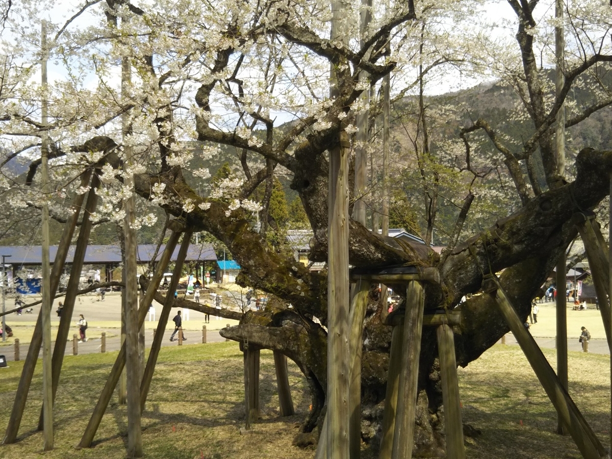 f:id:hirotaka72:20190412132312j:plain