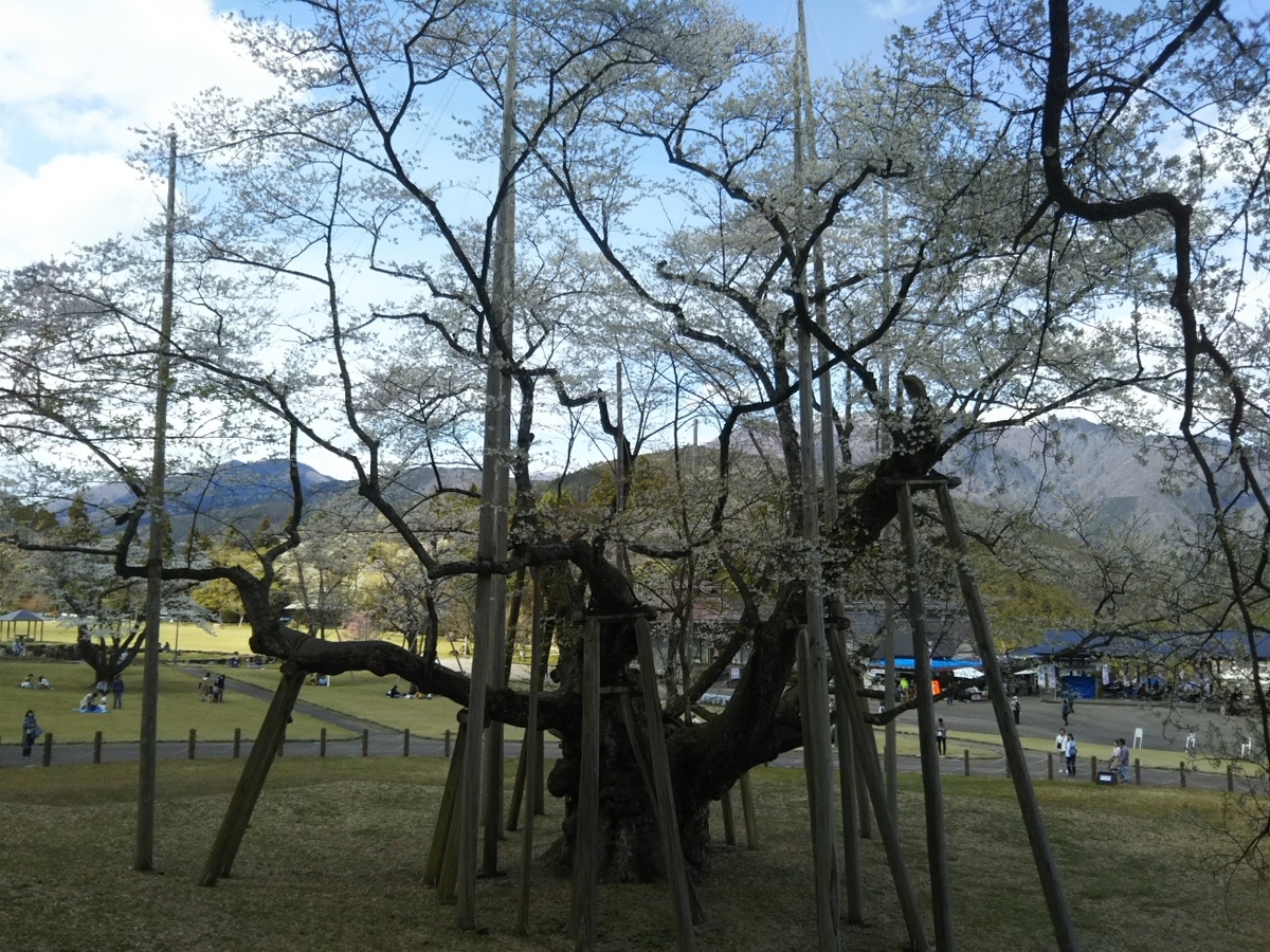 f:id:hirotaka72:20190412132632j:plain