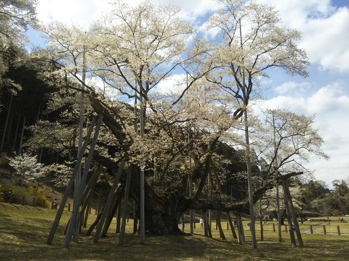f:id:hirotaka72:20190412132850j:plain