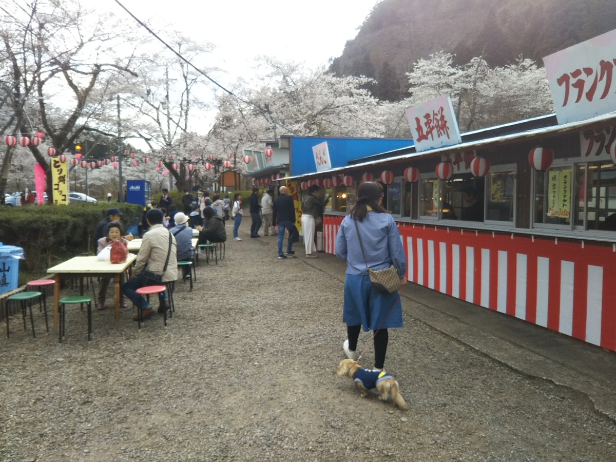 f:id:hirotaka72:20190412150935j:plain
