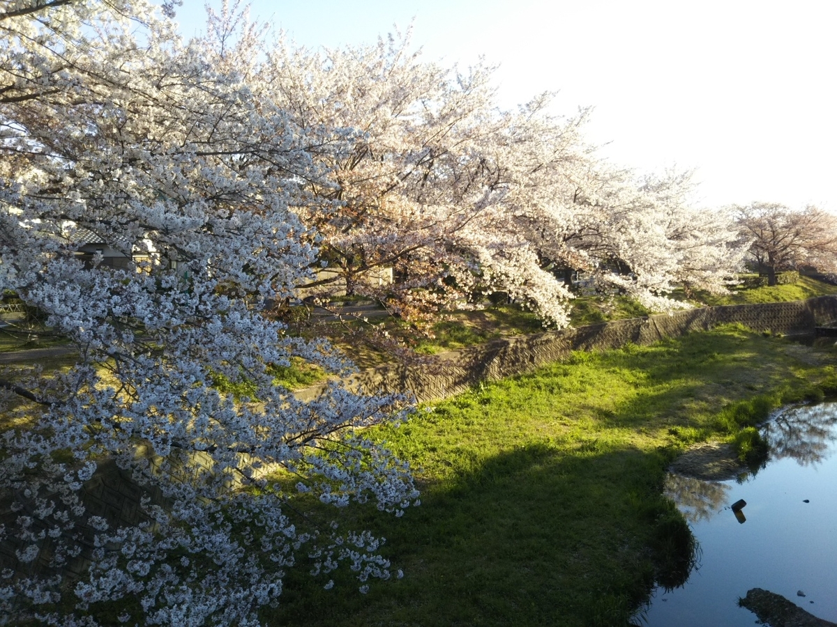 f:id:hirotaka72:20190413070346j:plain