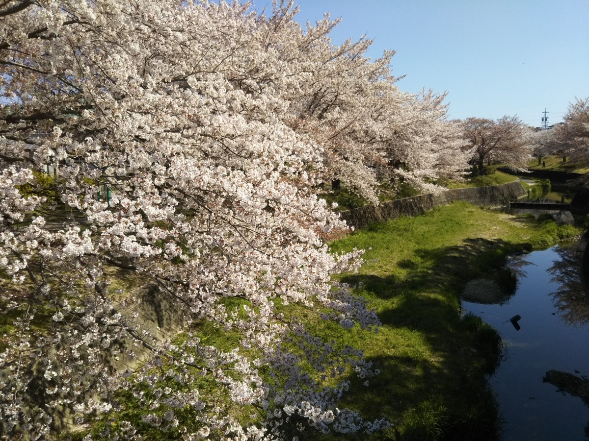 f:id:hirotaka72:20190413094141j:plain