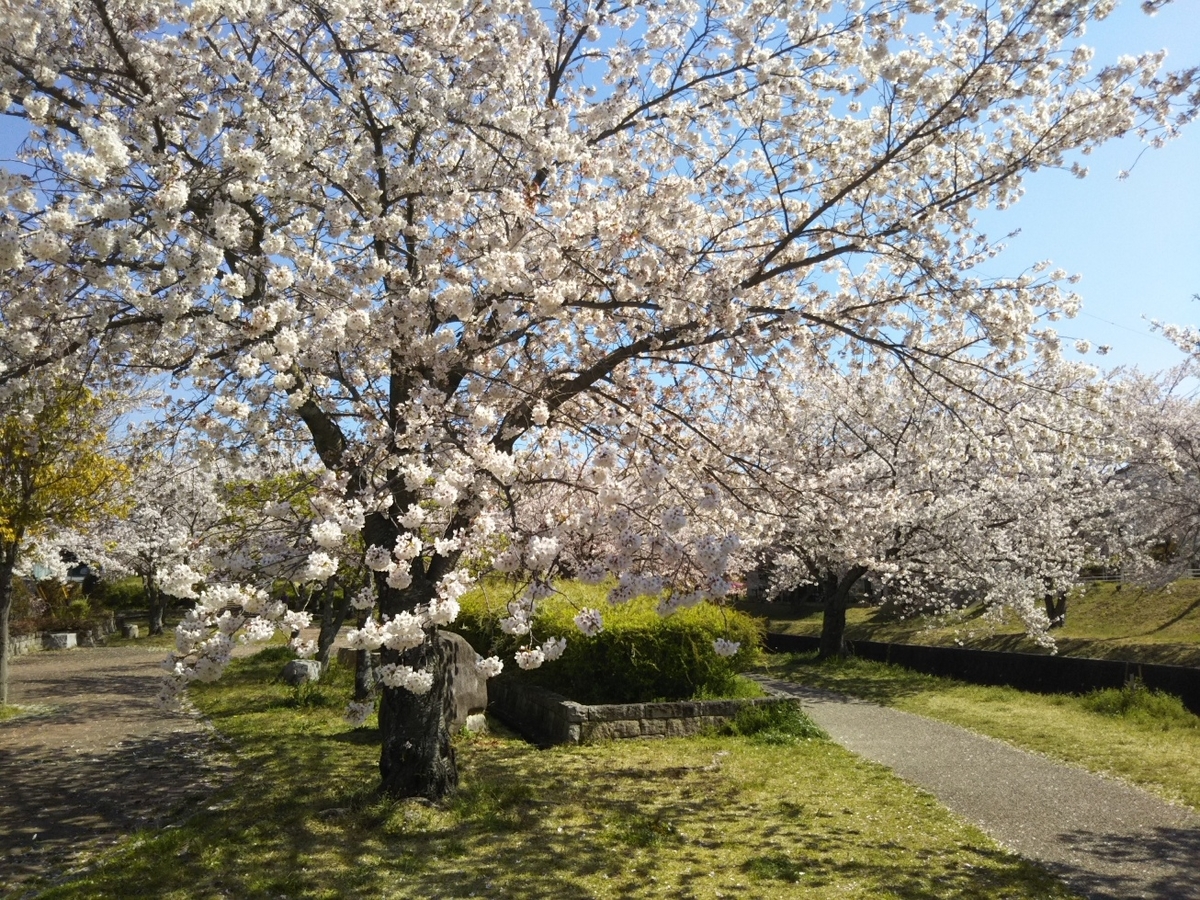 f:id:hirotaka72:20190413094446j:plain